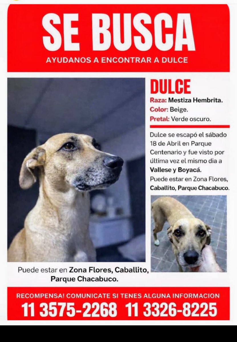 Rt
Recompensa en dolares