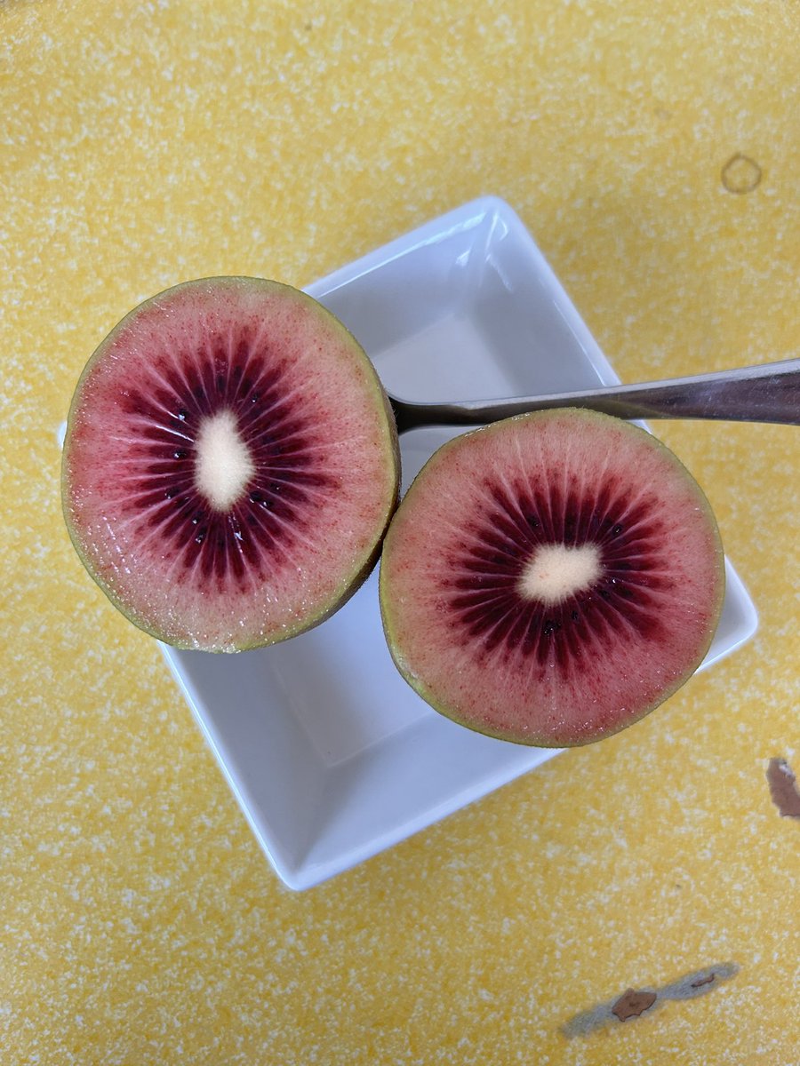 大滝 友梨亜。😶‍🌫️(otaki yuria) tweet media