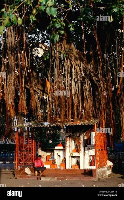 Ankit M (Currently Inactive) tweet media