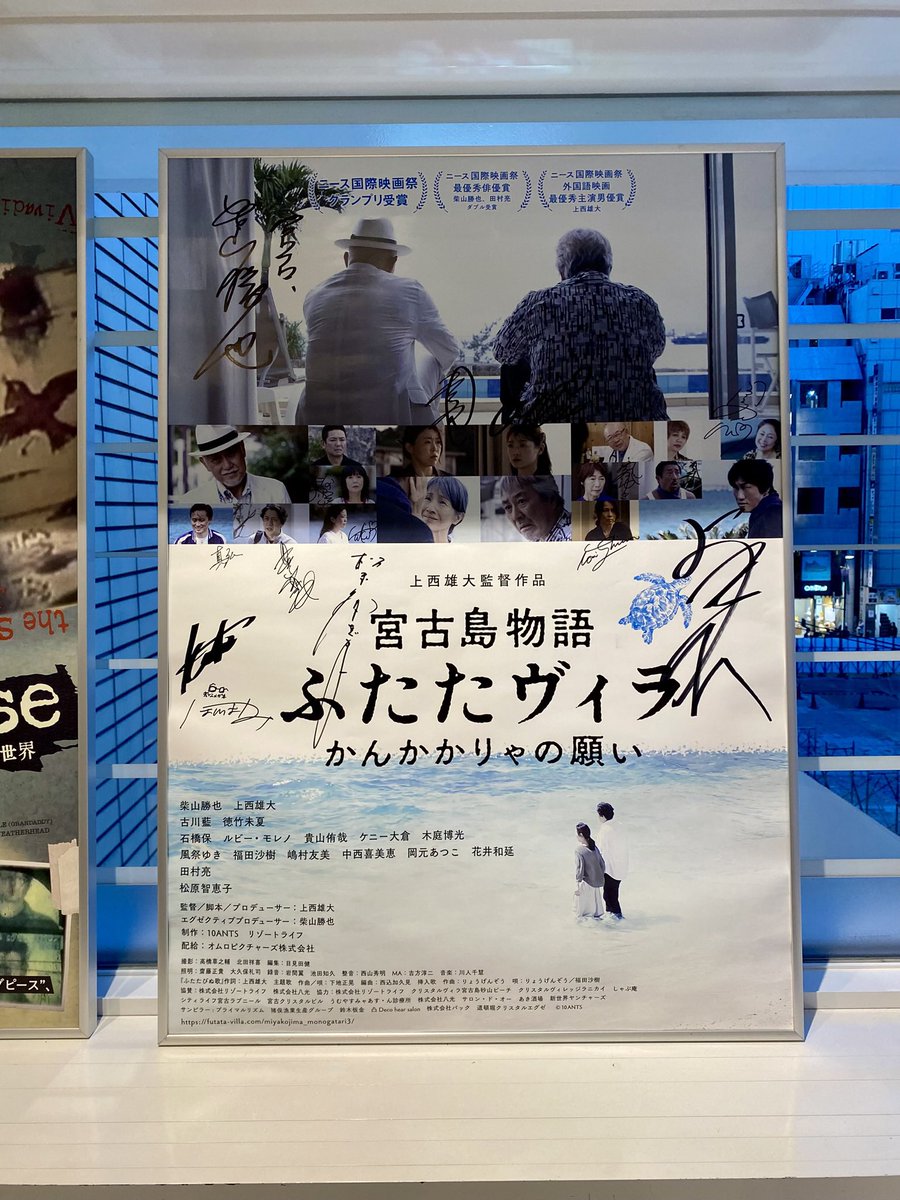 星井 まゆみ tweet media