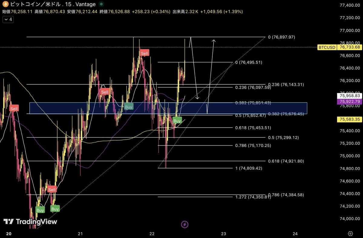 ランプ tweet media