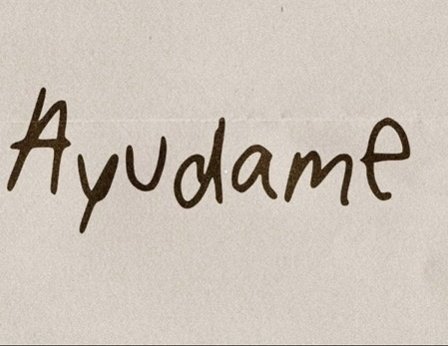 QSMP News Network (QNN) tweet media