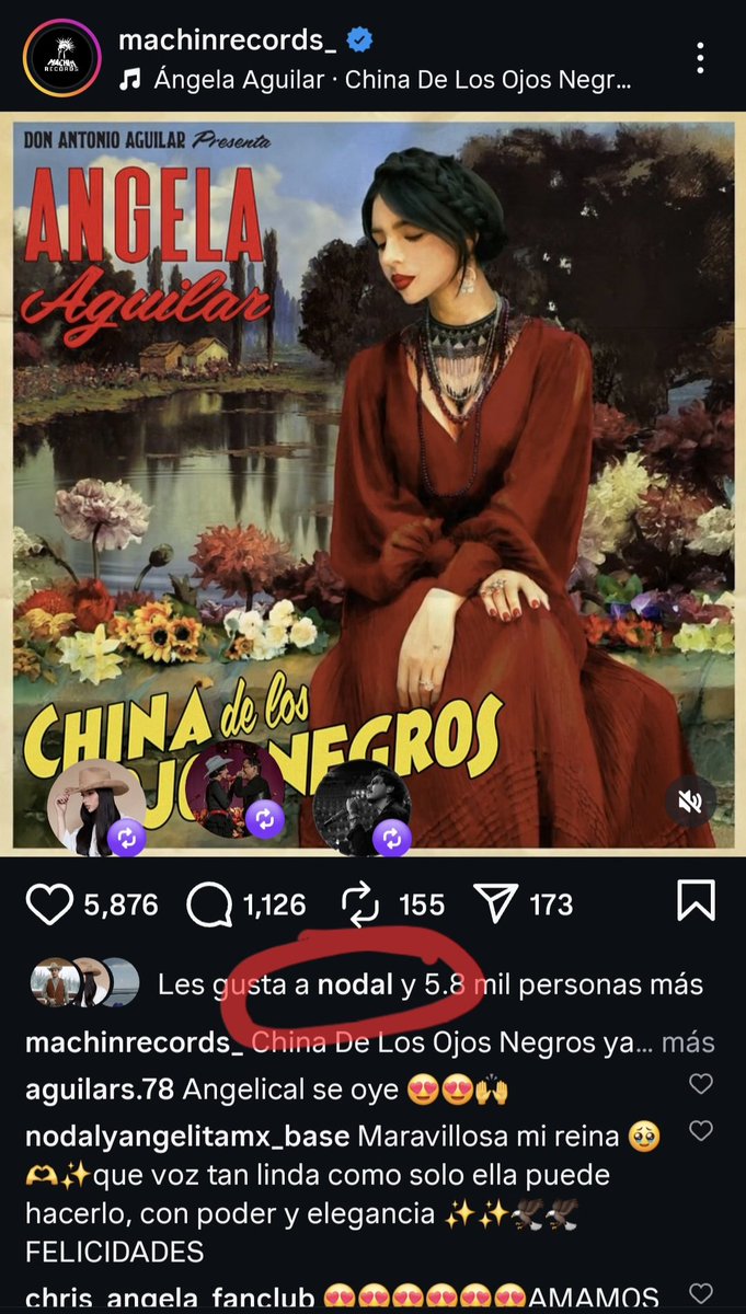 ¡orá! que el divorciado anda dando likes 😅🤣🤣