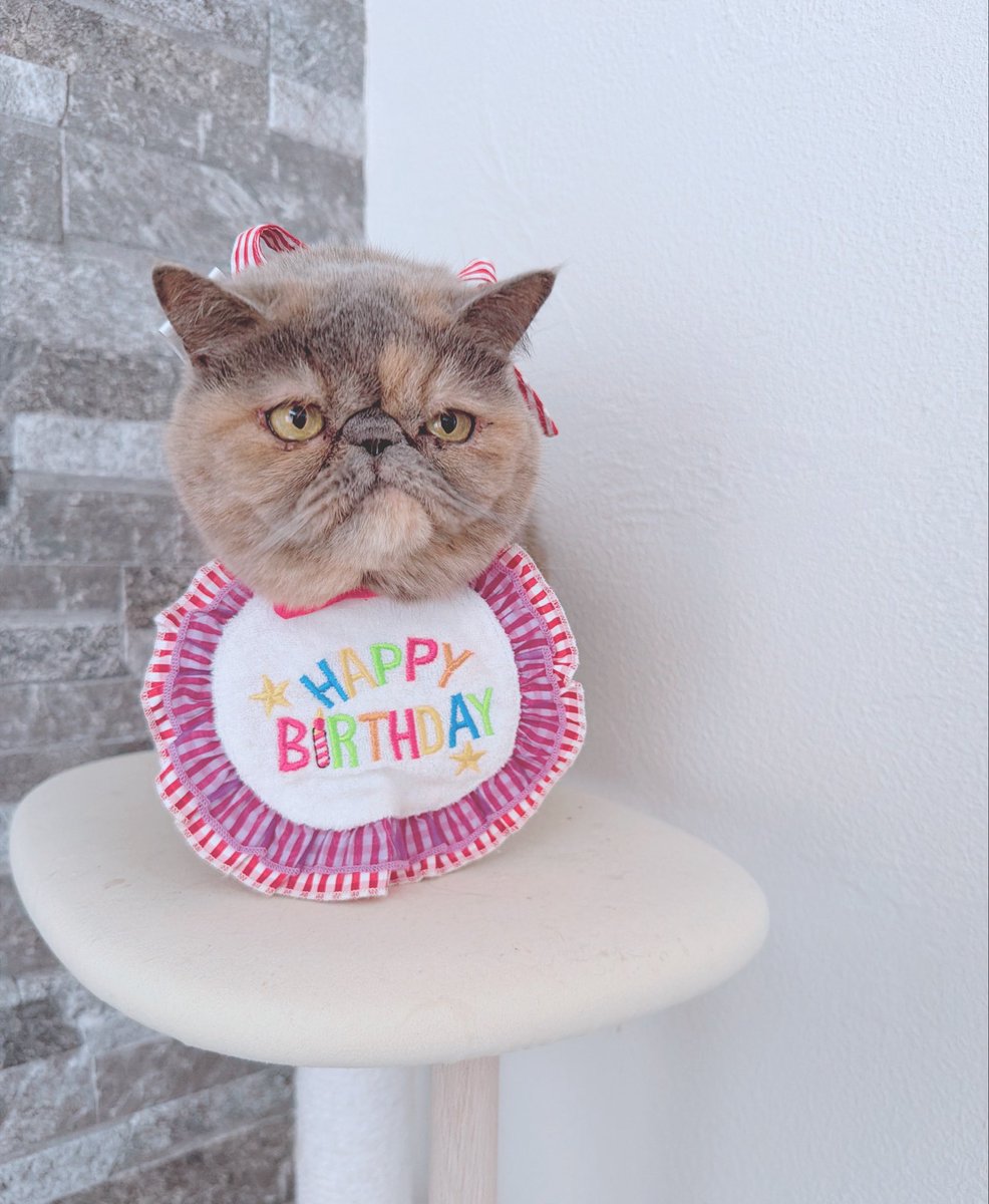 まぁ　ぽて🍟 tweet media