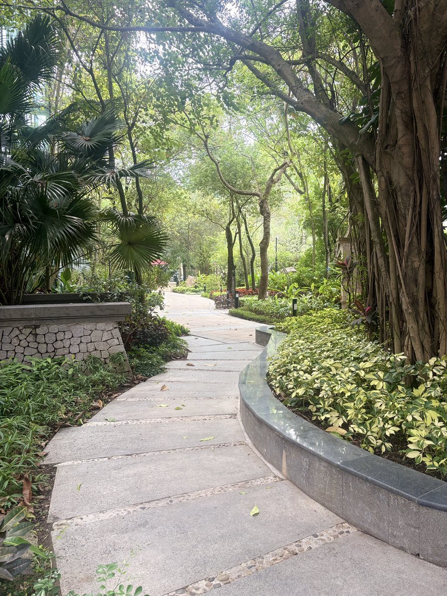 ytchatroom's tweet image. 深圳おはよう♪
気温は28°、心地良い風があって、
亜熱帯の気持ちいい朝☀️

#Shenzhen  #深圳