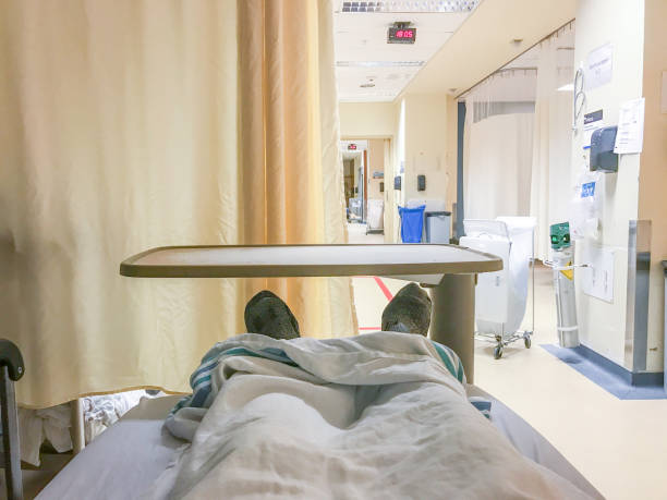 ruby kitten lover tweet media