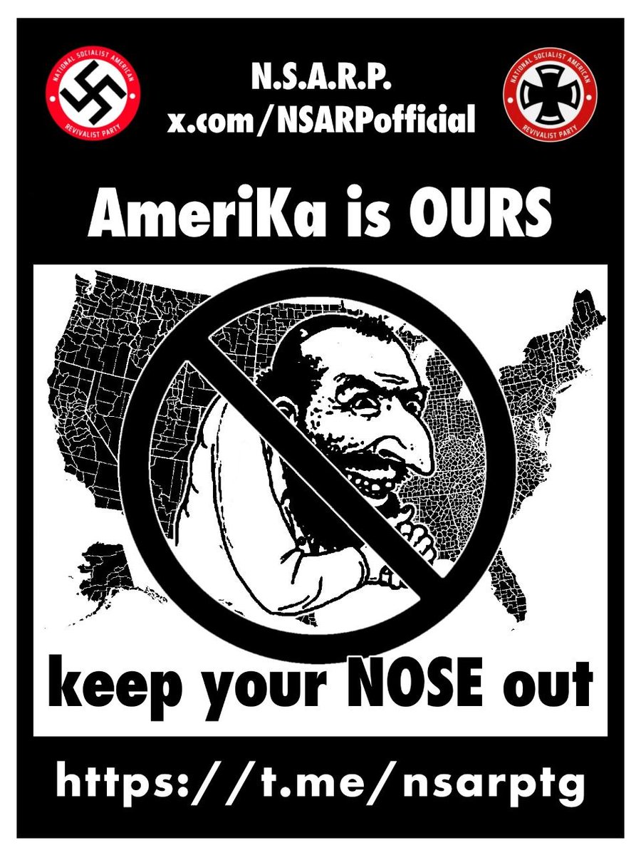 National Socialist American Revivalist Party tweet media