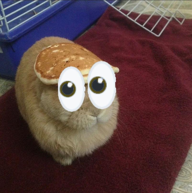 Baggodidi tweet media