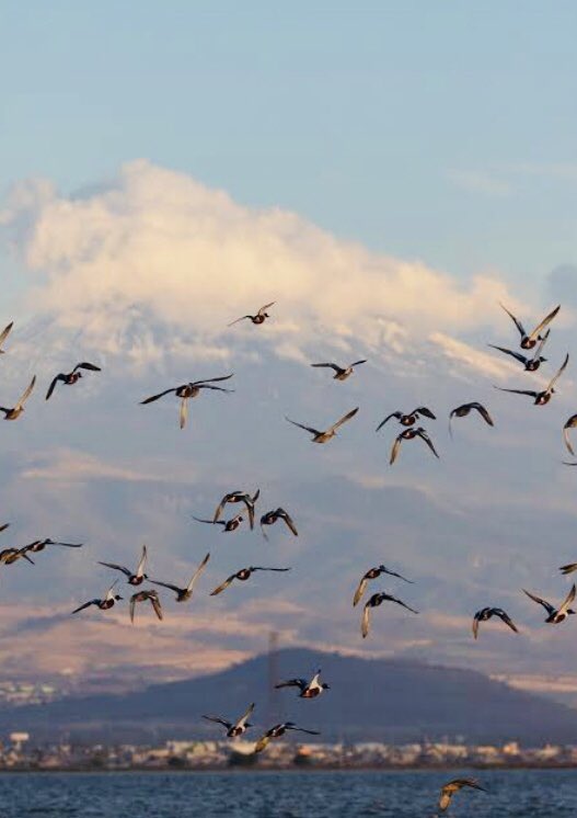 Juan Manuel Pach ♑️ tweet media