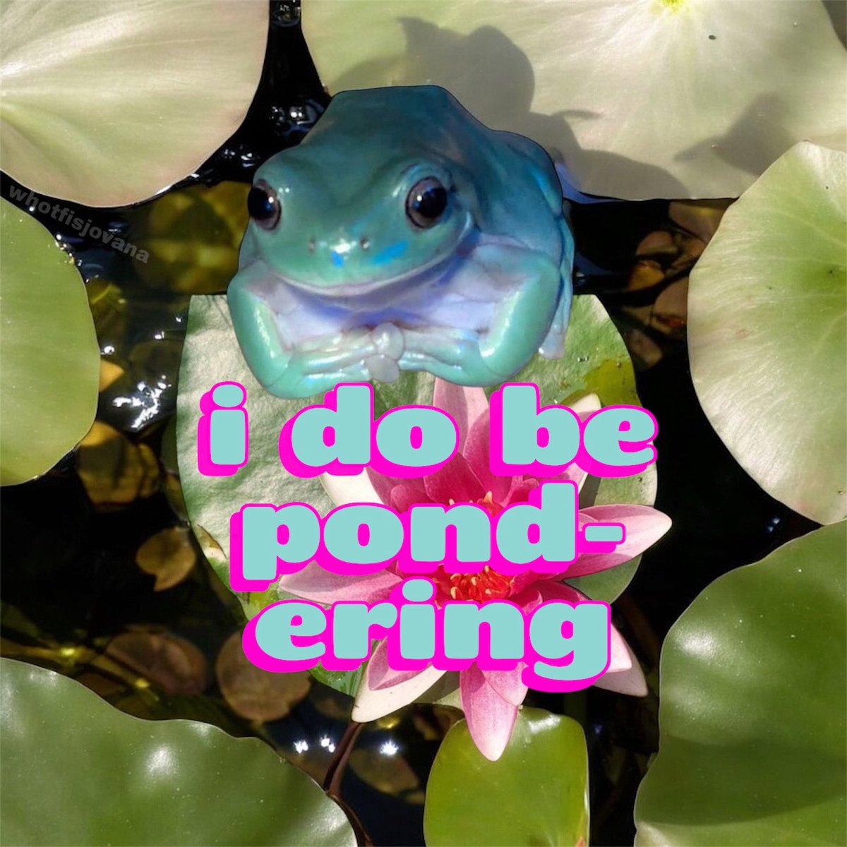 The Notorious J.O.V. tweet media