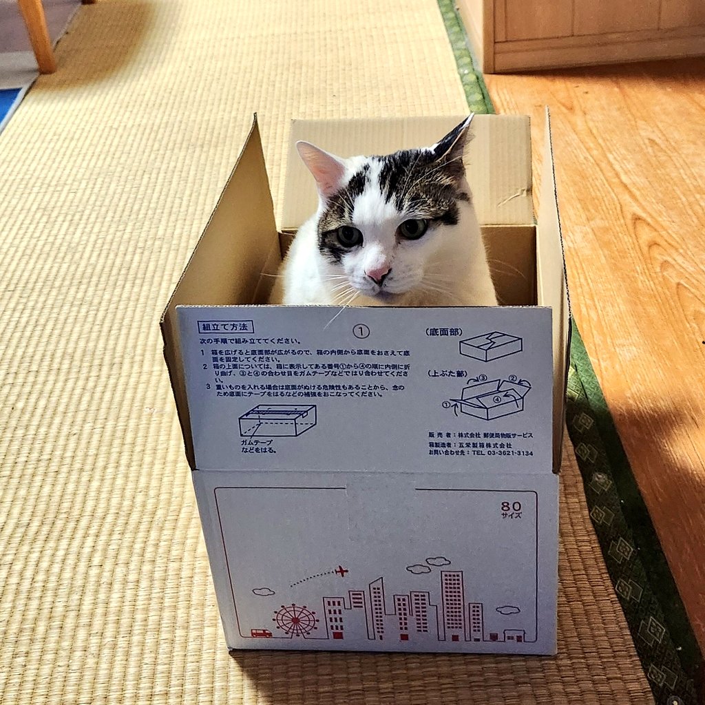 深谷陽 tweet media