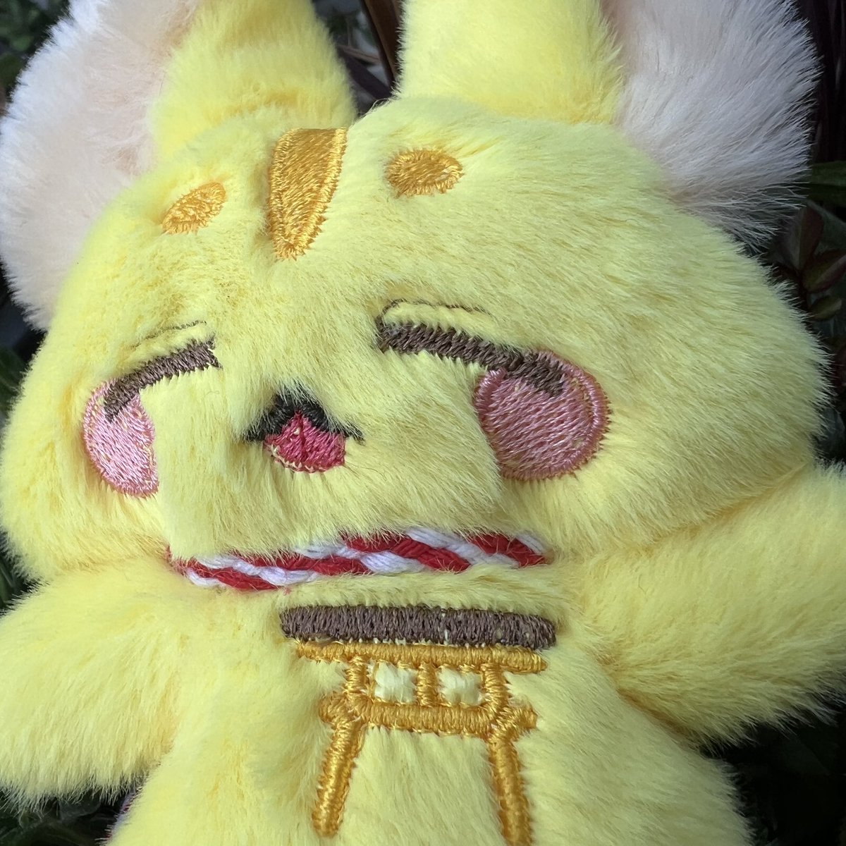 あいく@幻獣のいる生活 tweet media