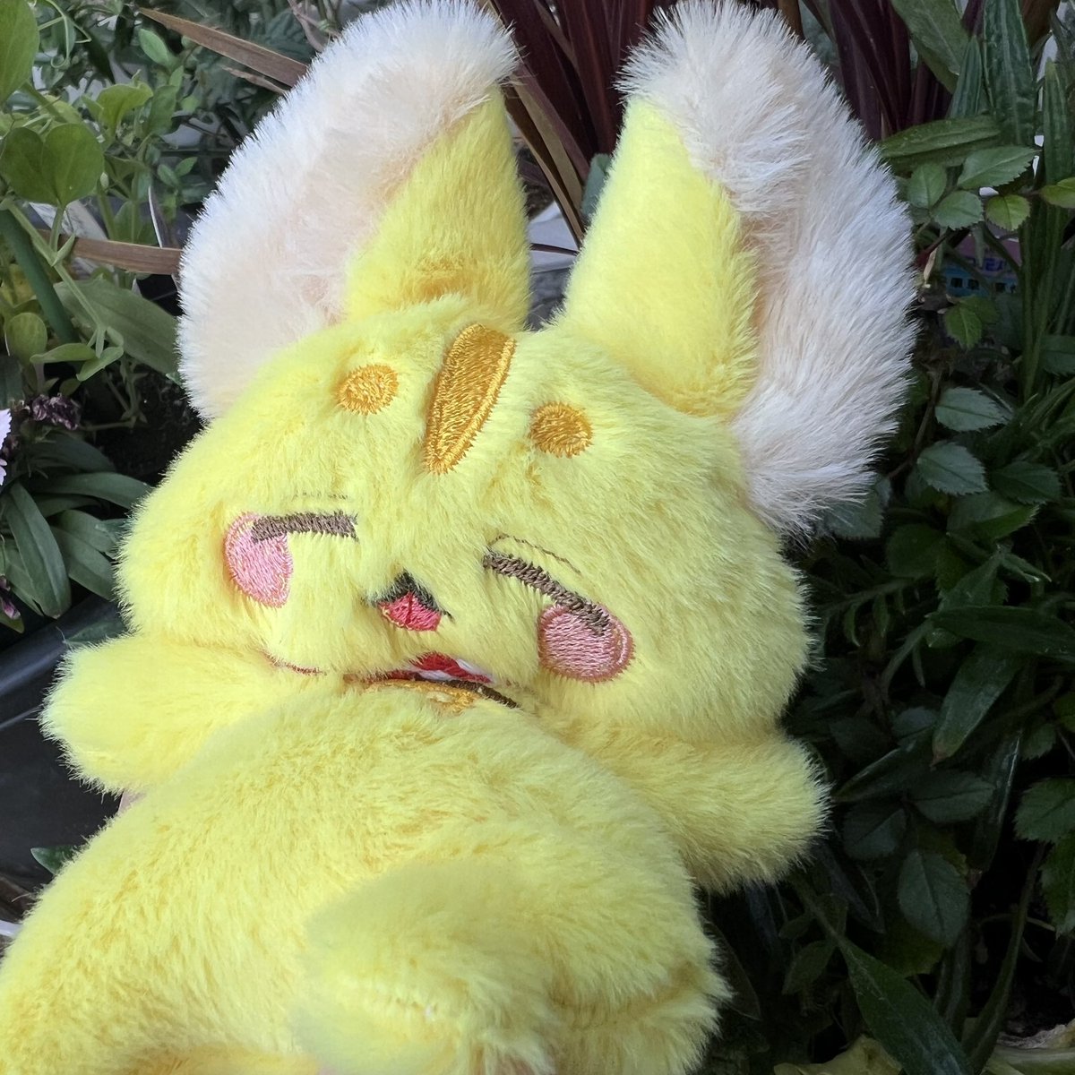 あいく@幻獣のいる生活 tweet media