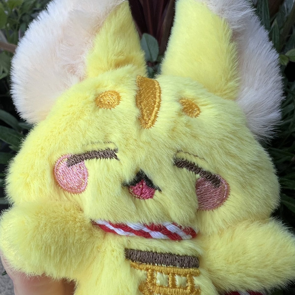 あいく@幻獣のいる生活 tweet media