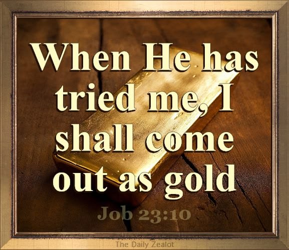 The_Real_Zealot's tweet image. May you delighted in His truths and commandments. Enjoy the night, rest well .... and pray. 🙏 #WeBelieve