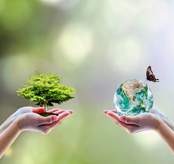 Let's go with Surajya Abhiyan...

Trees and forests have always played a significant role in most civilisations..!
Save Life...

#SaveTreesFromConcrete