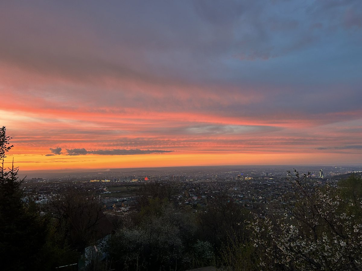 shhhadow-ага tweet media