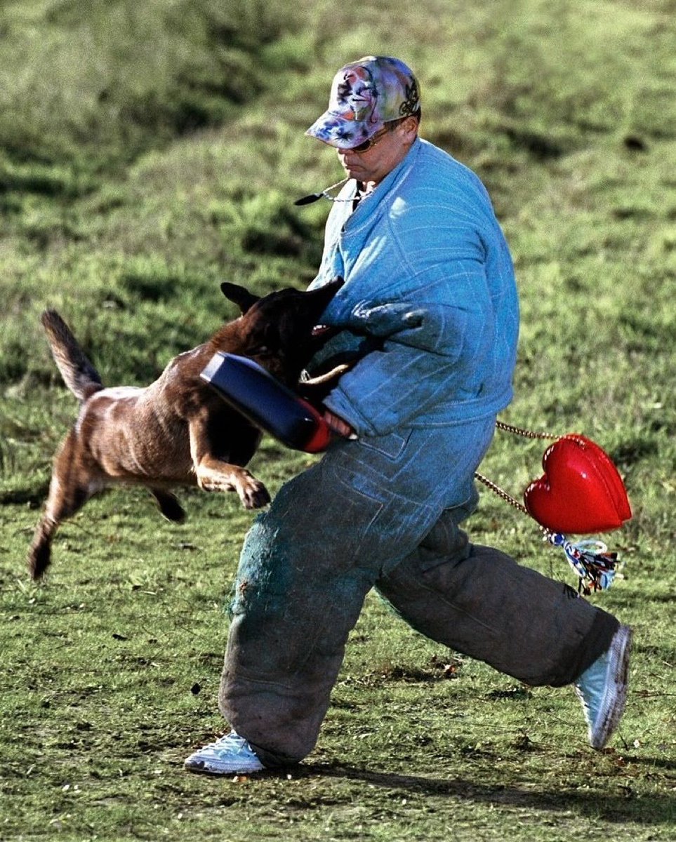 Rogue Fashion tweet media