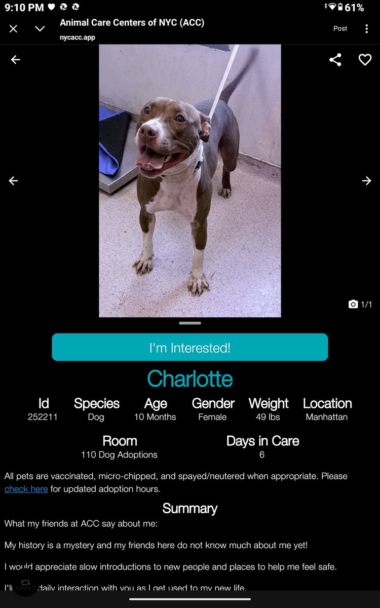 Char Bolen tweet media