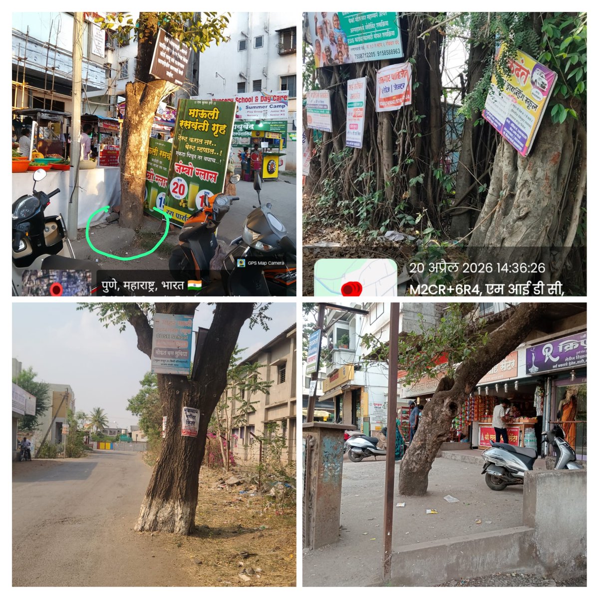 🛑 Stop the strangulation of our trees! 🌳

On #WorldEarthDay Join <a href="/SurajyaAbhiyan/">Surajya Abhiyan</a> campaign to #SaveTreesFromConcrete - demand criminal action against civic authorities destroying green cover. ⚖️

Concrete around trunks is choking roots. Nails for posters are injuring trees.

If