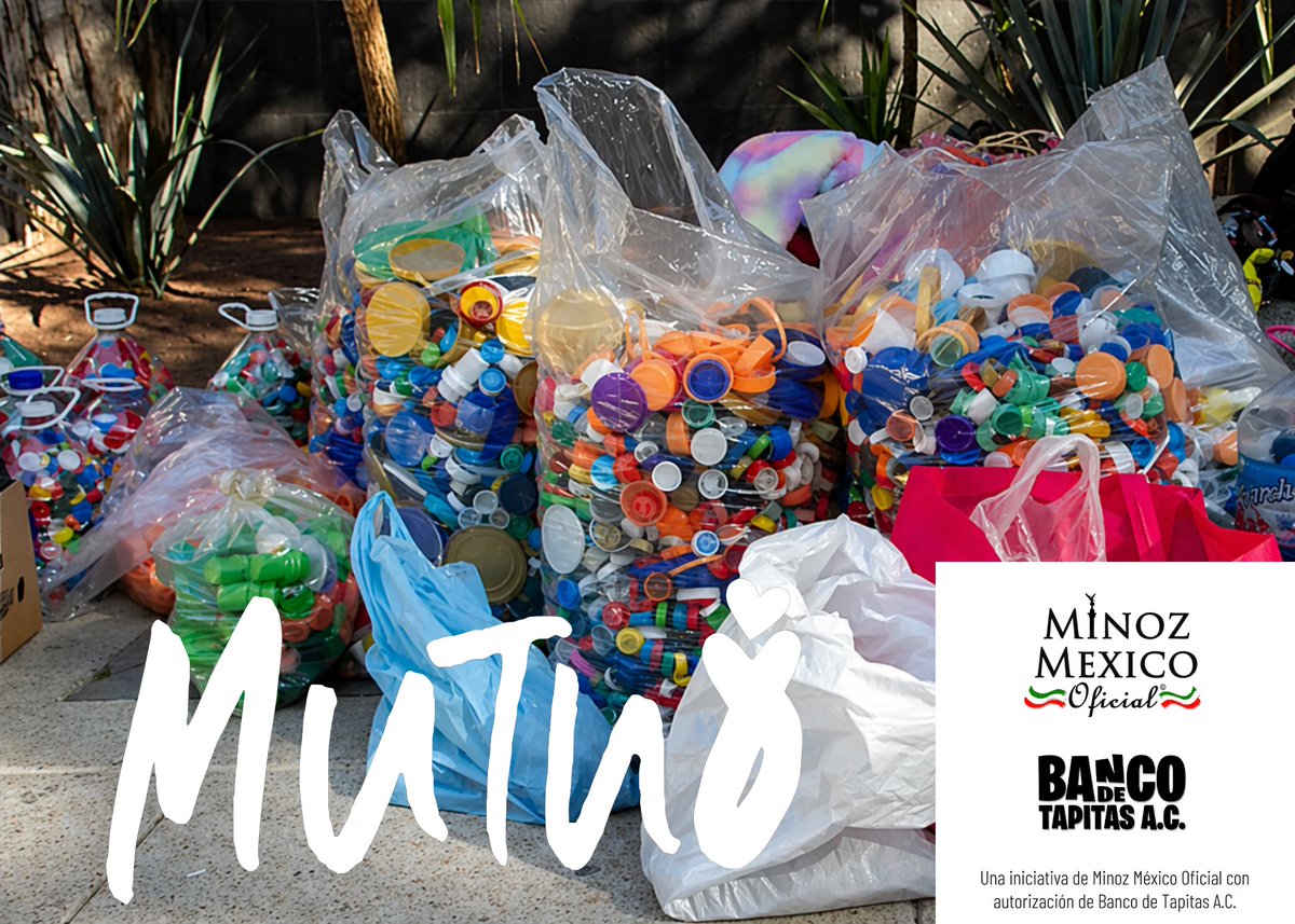 Minoz Mexico Oficial tweet media