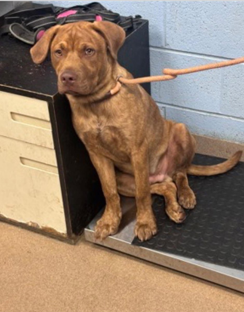 Fionaismybitch tweet media