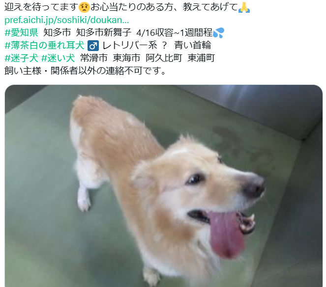 くるみmama tweet media