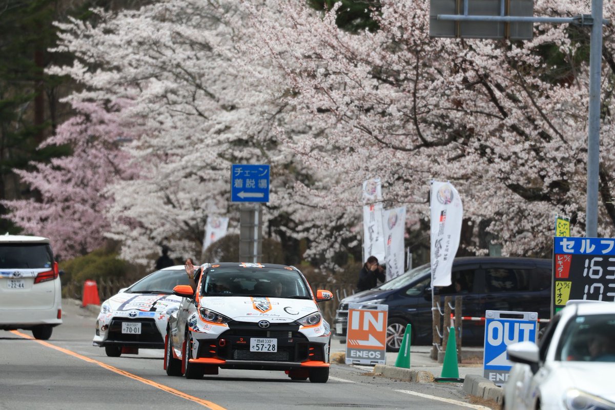 PRO_CREWS's tweet photo. 「TOYOTA GAZOO RACING RALLY CHALLENGE 2026 in 八ヶ岳茅野」の写真が届きましたのでごく一部にはなりますが現地の雰囲気をお届けいたします！
特にビーナスラインの上の方はまだ桜が咲いていてこの時期にしか見れない「桜×ラリー車」という光景が見られましたね。

(1/3)
 #TGRRC #ラリチャレ #茅野市 #ラリー