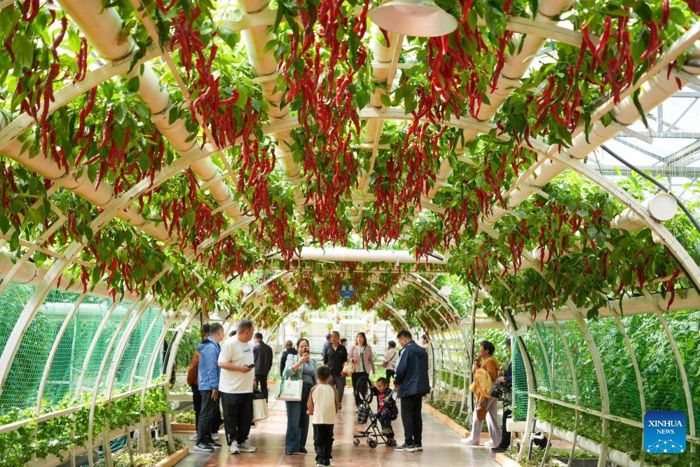 SDHS CSI tweet media