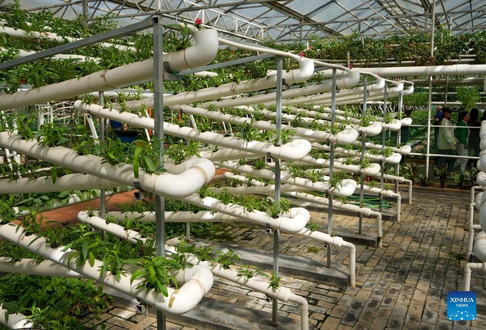 SDHS CSI tweet media