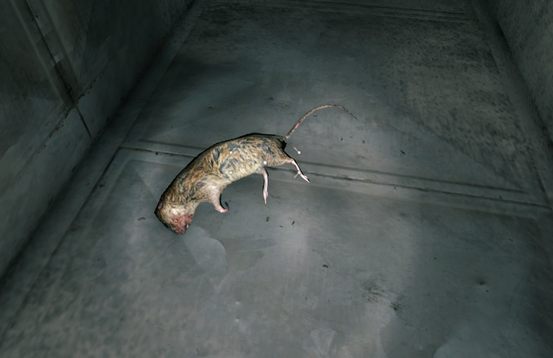AreThereRats's tweet photo. Are there Rats in Dying Light? 

Yeh https://t.co/fyXFyZjJLp