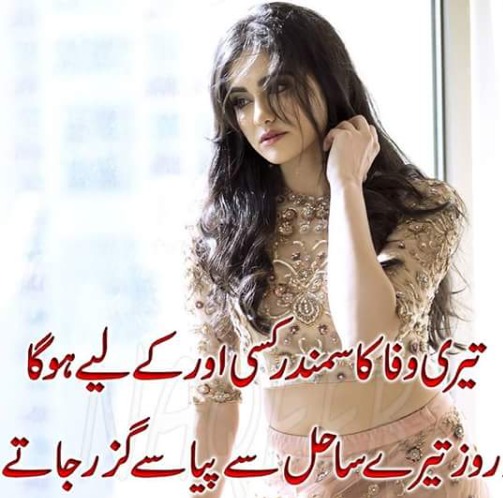 pzaropzaro7's tweet image. Alfaaz ka sahara 🖋️🕊️ #Support