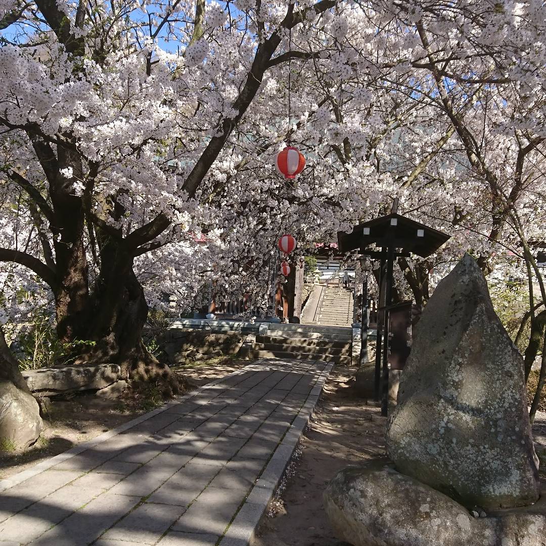 小林弥 tweet media