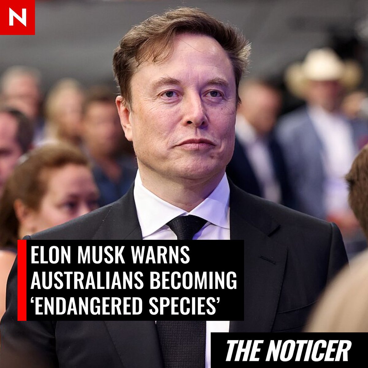 The Noticer tweet media