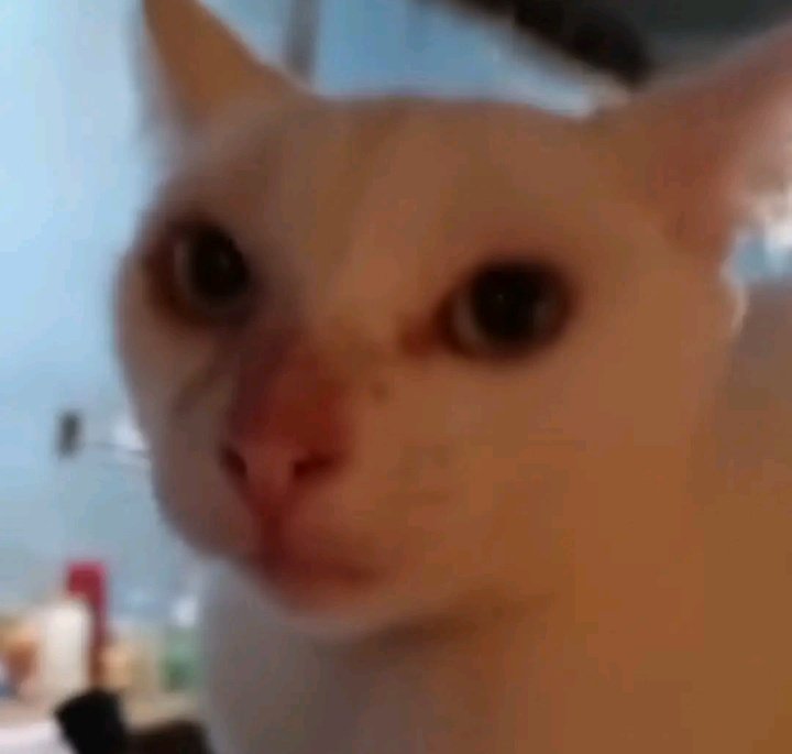 dev (@filhododev) / Posts / X