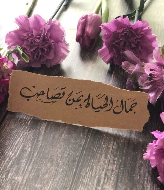 تــغريـد ❥ ᥫ᭡ " tweet media