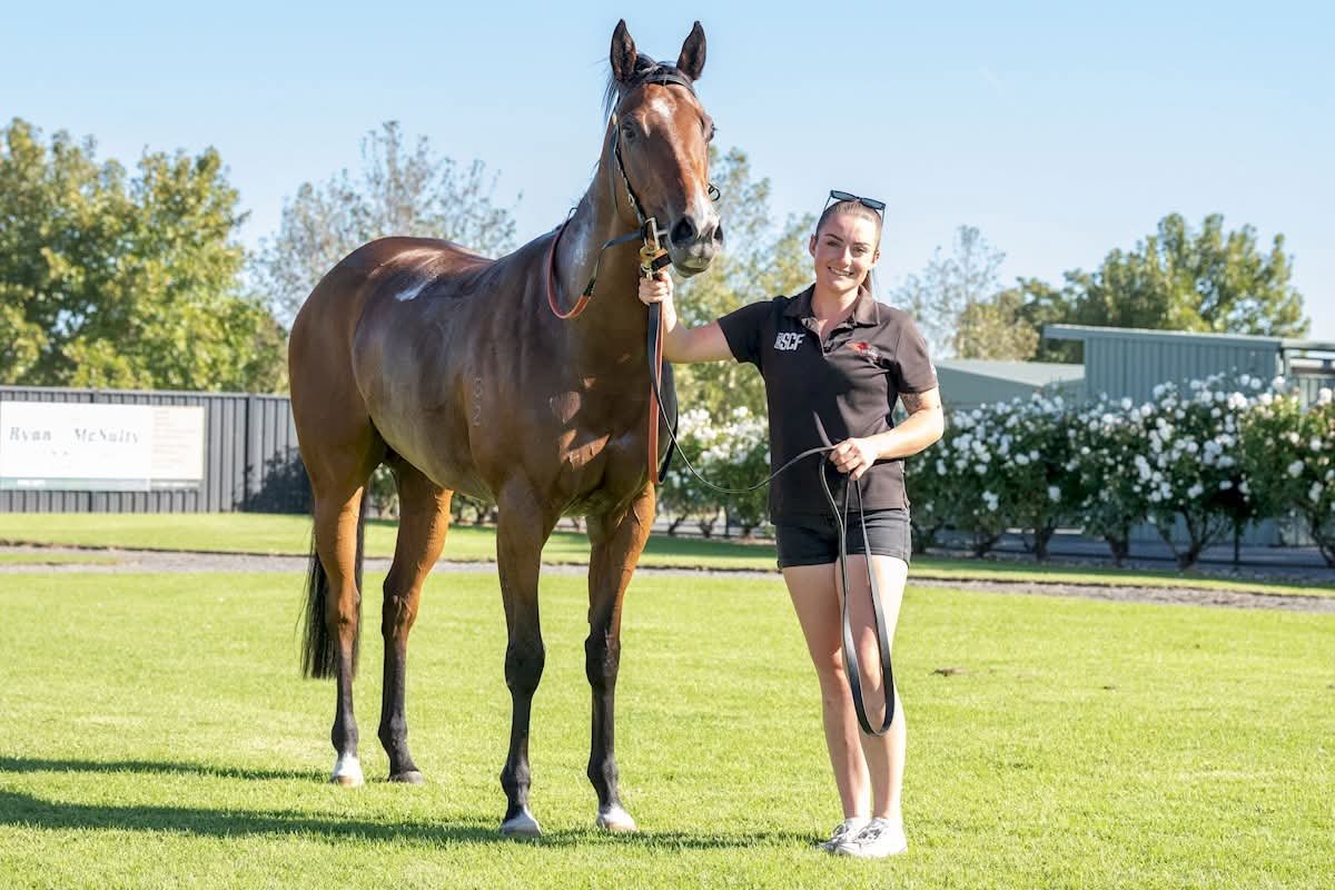 Widdison Racing tweet media