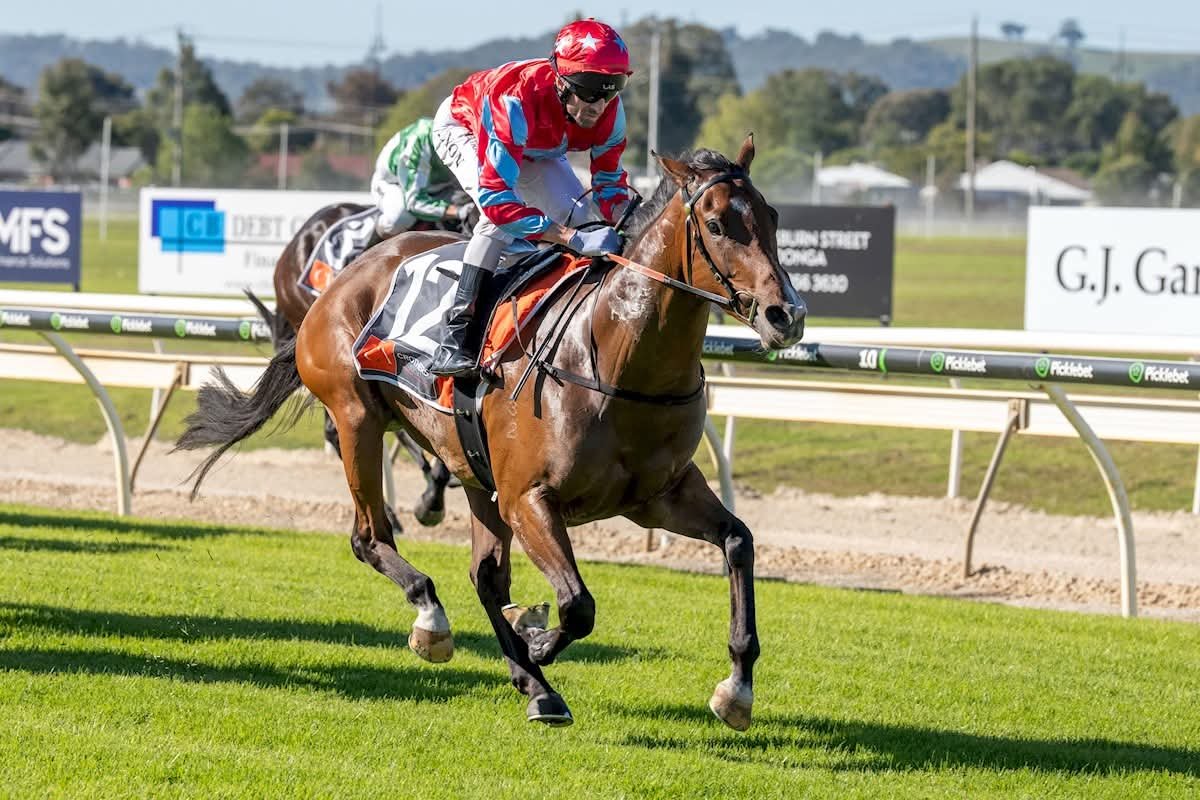 Widdison Racing tweet media