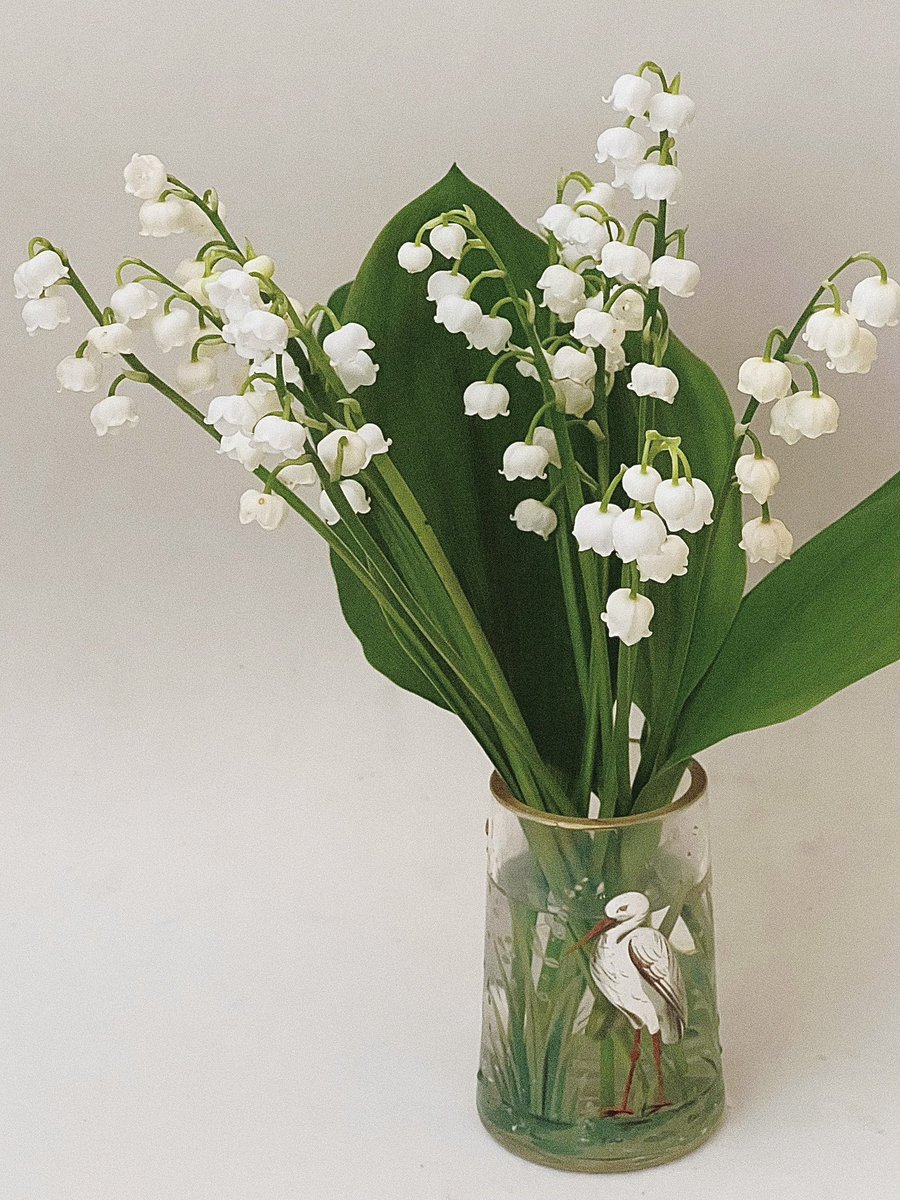 庭にチラホラと咲いたすずらんを、希望を集めるように摘みました。花言葉は「再び幸せが訪れる」