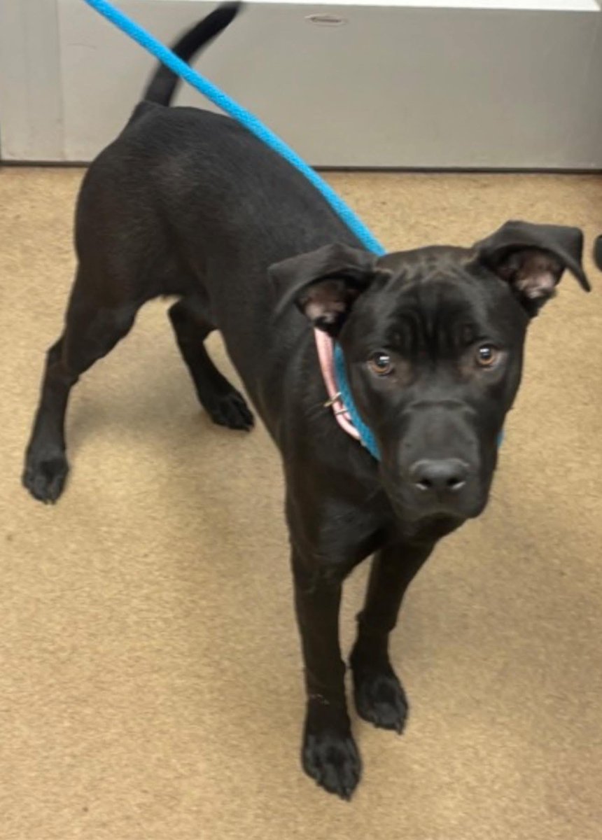 Fionaismybitch tweet media