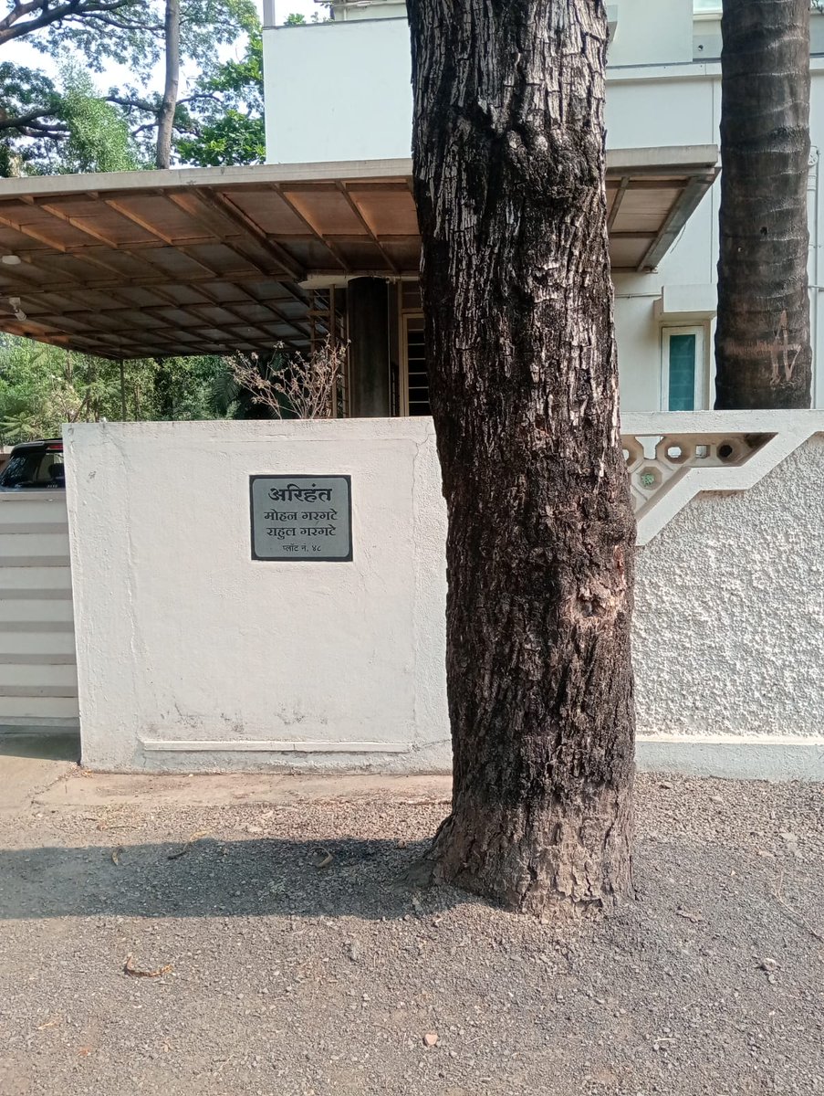 🚩 ‘Vruksha Sanjeevani’ should NOT be just a one-day event!
Real change needs ACTION, not optics

💥 Remove concrete at violators’ cost
💥 Ensure 1m soil space around every tree
💥 Enforce strict laws across Maharashtra

🌳 Save our roots!
#SaveTreesFromConcrete #SurajyaAbhiyan