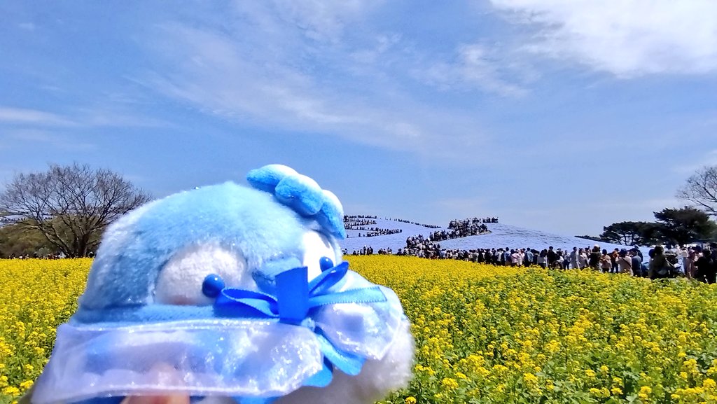 スエヒロカンナ tweet media