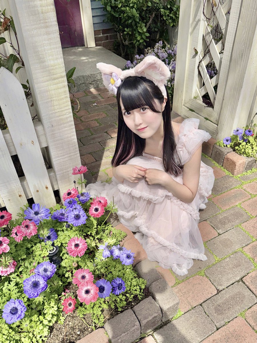 桜乃みく🫧泡沫パーティーズ tweet media