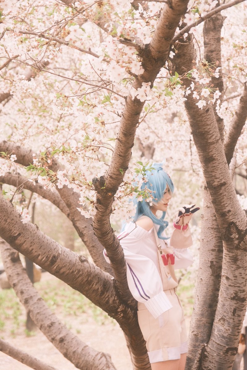 CiYouuu_ tweet media