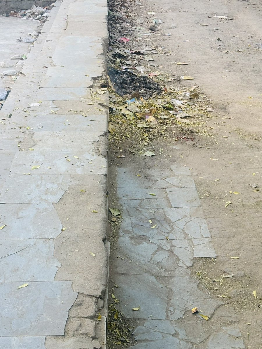 मानवाधिकार टीम दिल्ली tweet media