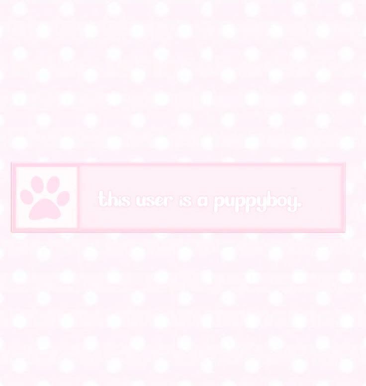 𓏲 김재중 ͜𓏼✚ // shedtwt tweet media