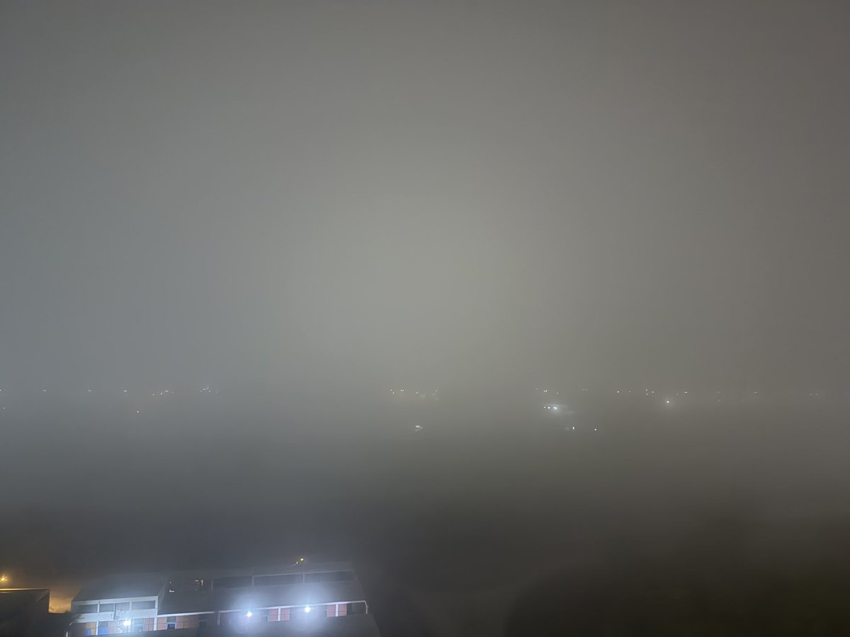 Pedro Acuña tweet media