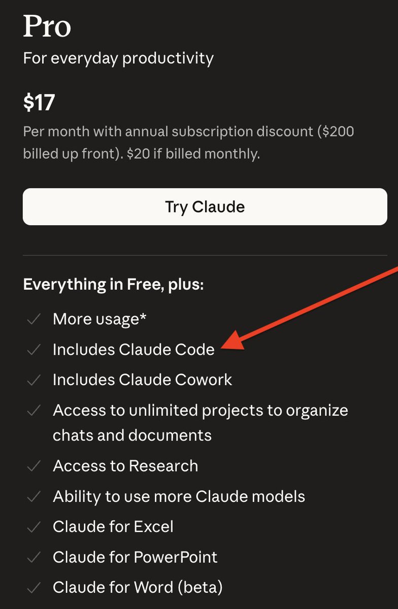gato de bodega tweet media
