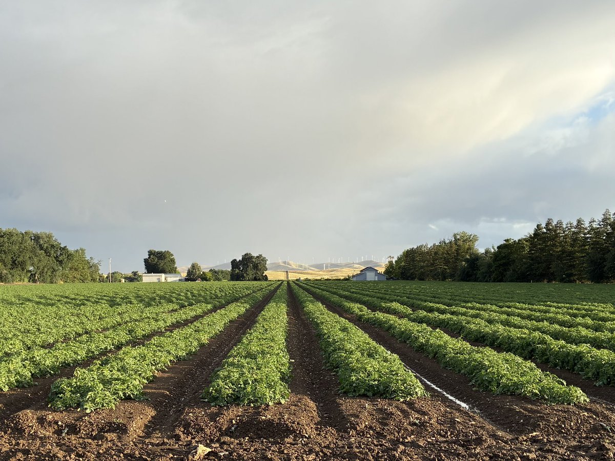 Mr. Marcus tweet media