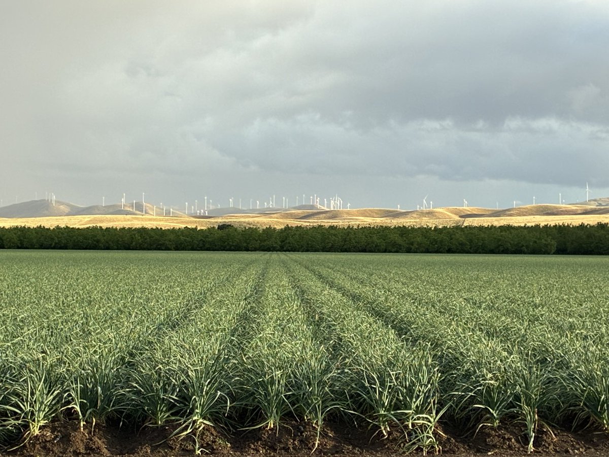 Mr. Marcus tweet media